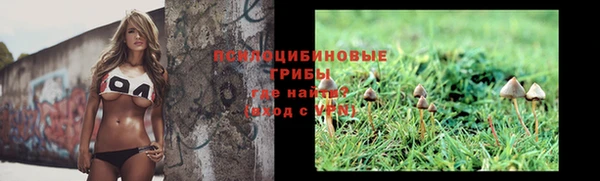 мескалин Алексин
